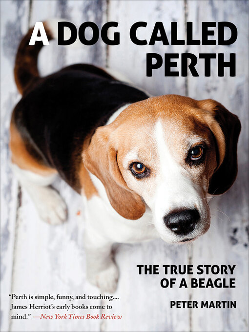 Title details for A Dog Called Perth by Peter Martin - Available